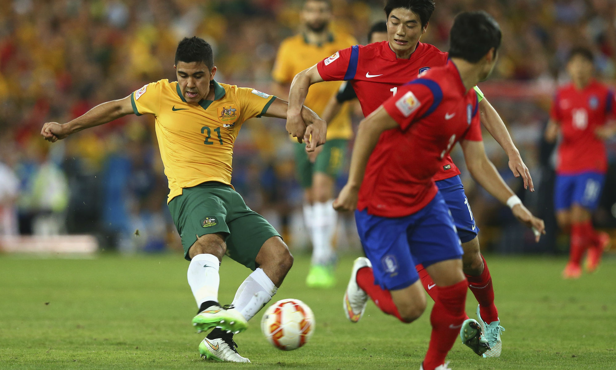 Luongo Korea Republic