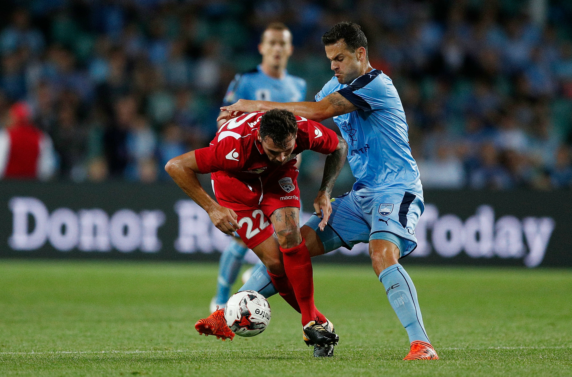 Ersan Gulum and Bobo