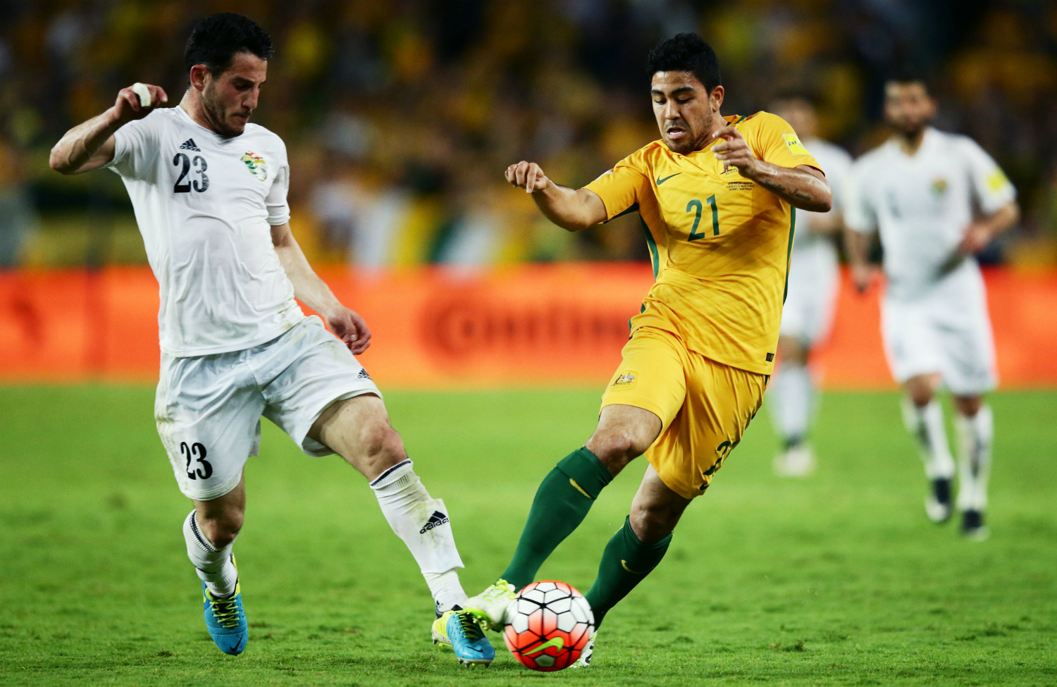 Massimo Luongo Jordan