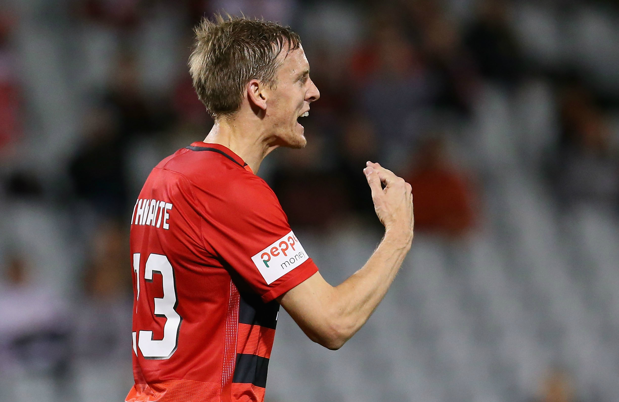 Michael Thwaite