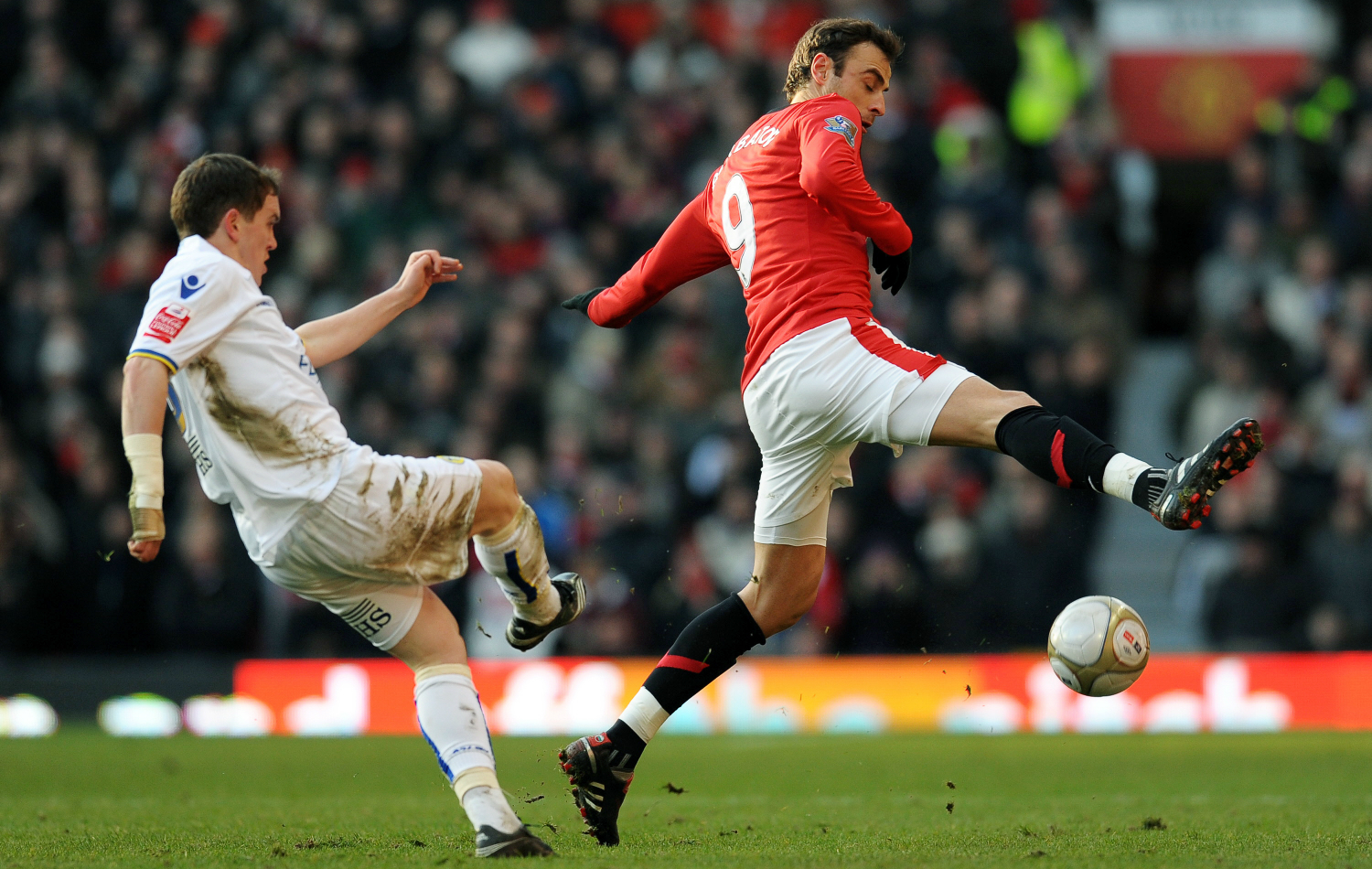 Neil Kilkenny Berbatov