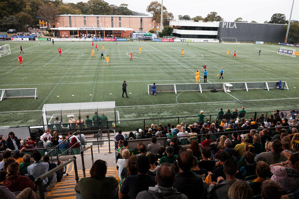 Ultimate Guide: CommBank Pararoos v USA 