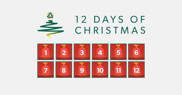 12 days of christmas Socceroos