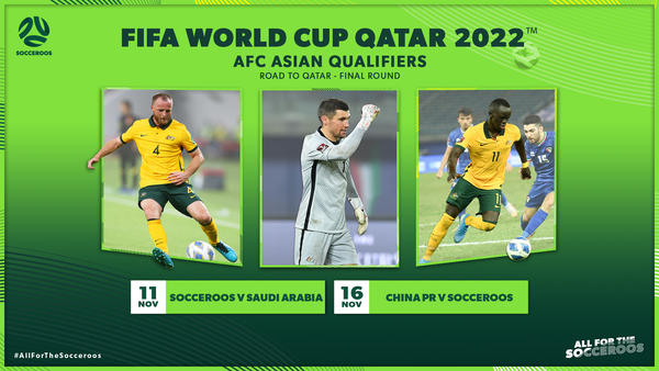 Socceroos November