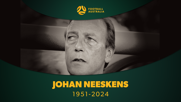Vale Johan Neeskens