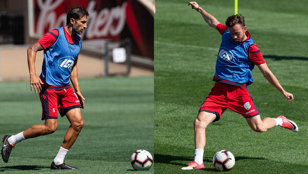 Vince Lia and Lachlan Brook have re-signed with Adelaide United