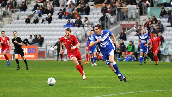NPL Preview: Wilkshire's Wolves have tails up in NPL NSW