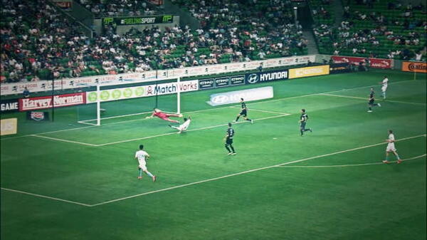 See all 23 Fornaroli goals