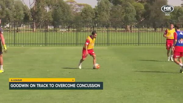 Goodwin eyeing quick injury return