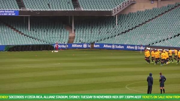 Socceroos News | Day 8