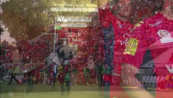 Adelaide v Newcastle match highlights