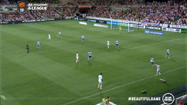 Zelic commentary gold