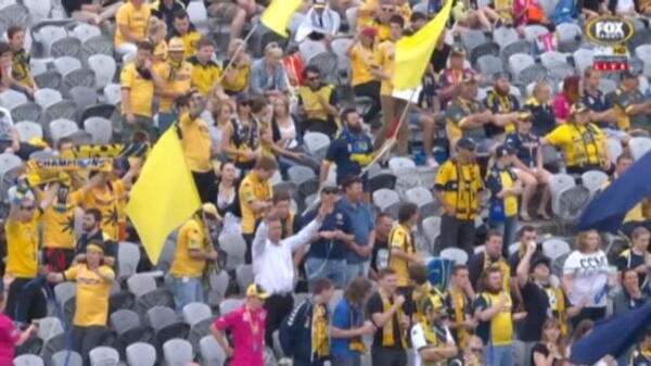 Central Coast v Sydney FC highlights
