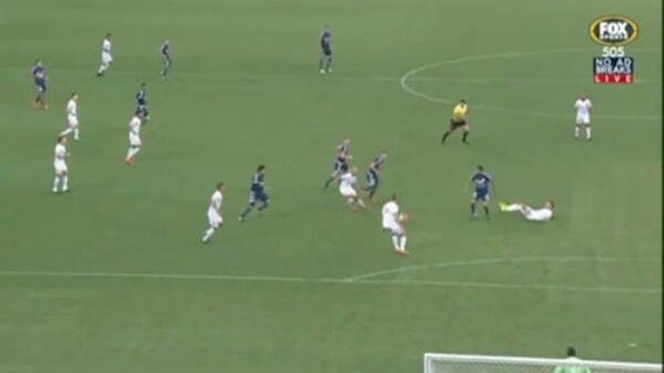 Hyundai A-League Round 15 goals