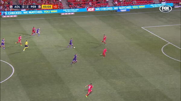 Hyundai A-League Round 19: Top 5 goals 