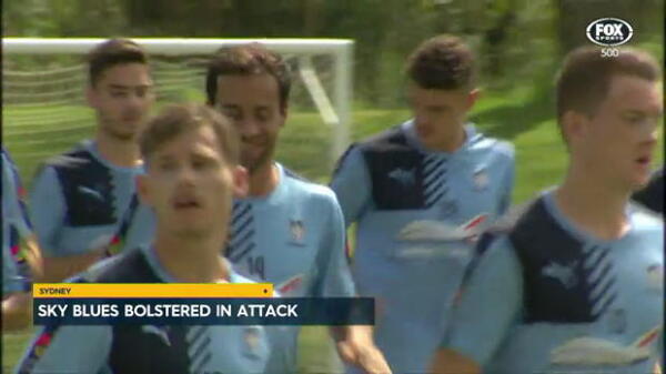 Sky Blues bolstered in attack