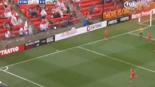 Adelaide v Wellington match highlights