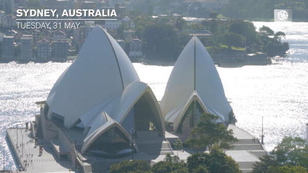 FFA TV | Socceroos deserved a result: Federici