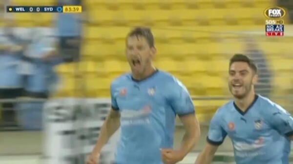 Top 10 Hyundai A-League goals for 2015/16