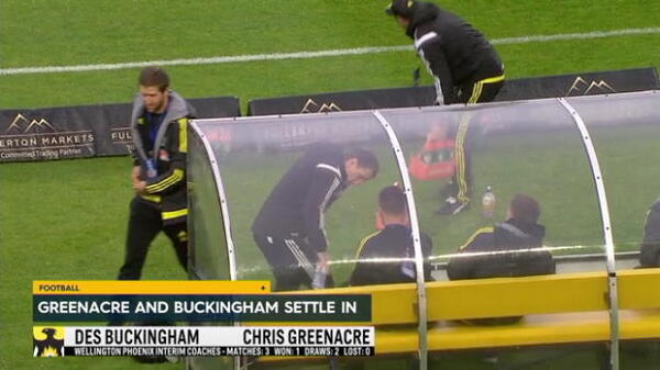 Phoenix duo appointed till season's end