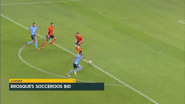 Brosque for Socceroos?