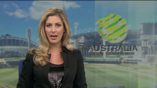 Wanderers give Milicic their blessing