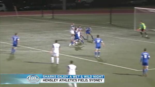 Palm Beach edge past Hakoah