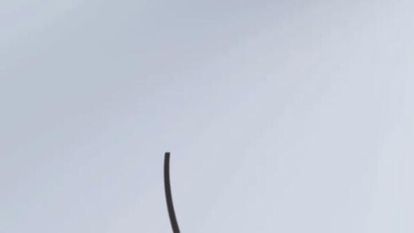 Roar unveil new crest