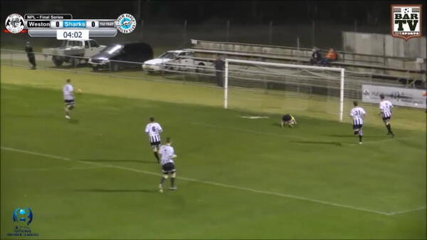 Sharks come back to bite Bears