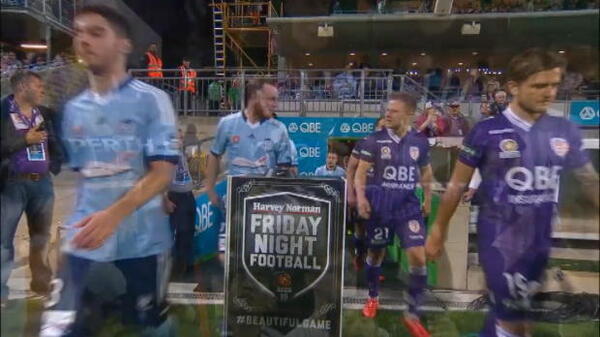 Hyundai A-League round 25 wrap