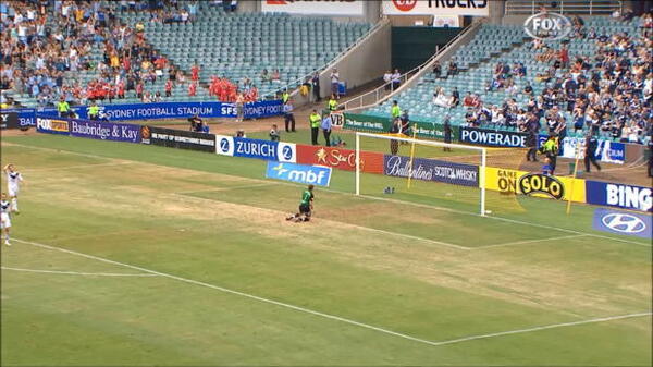 Sky Blues crowned 2010 Premiers
