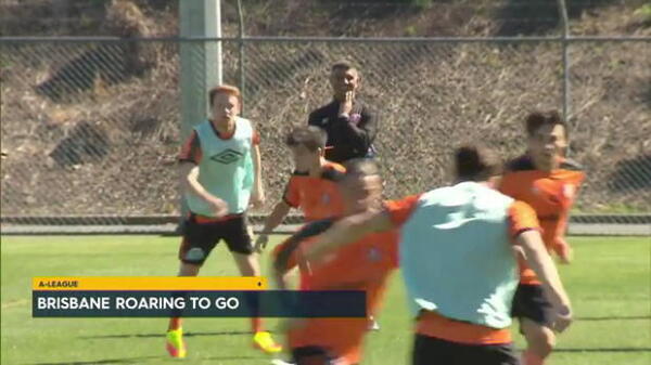 Aloisi hails Roar's belief