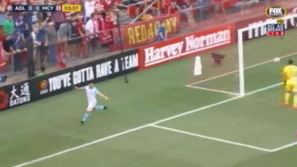 Hyundai A-League Round 15 goals