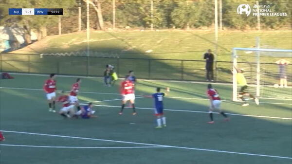 PS4 NPL ready to roll in 2017