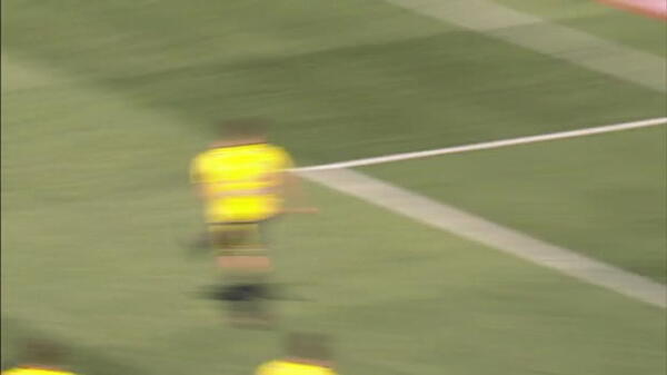 McGree makes Socceroos 23