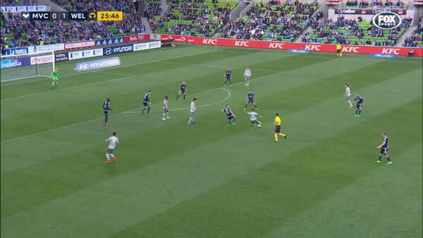 Hyundai A-League Round 25: Top five goals