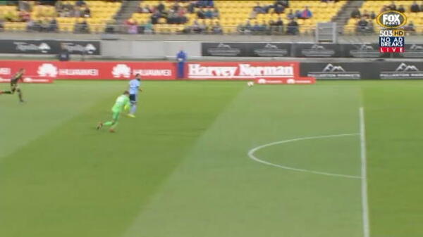 Phoenix strike late to deny Sydney FC