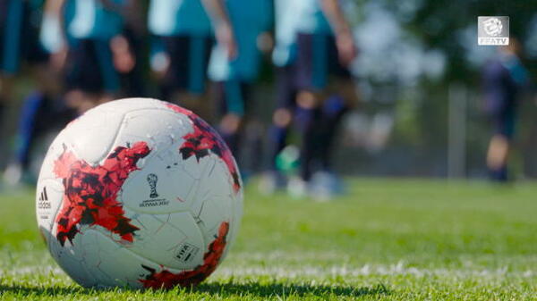 Broich backing Ange's Socceroos revolution