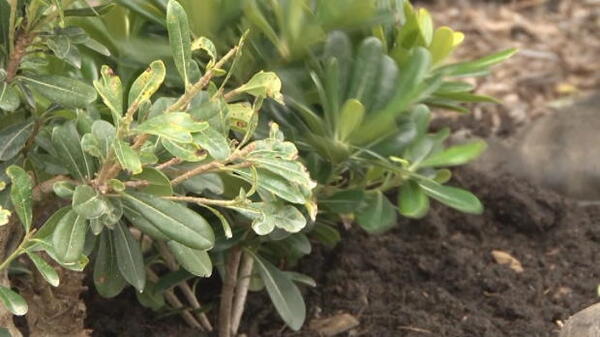 Blacktown City eye another FFA Cup run