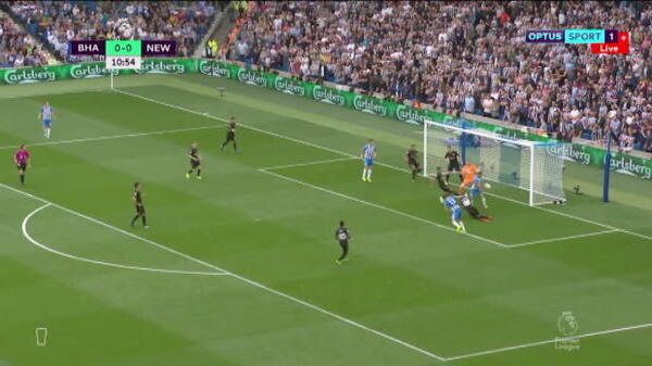 Ryan's Brighton edge out Newcastle 