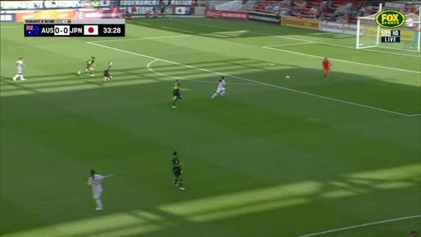 Lydia Williams puts body on the line for the Matildas