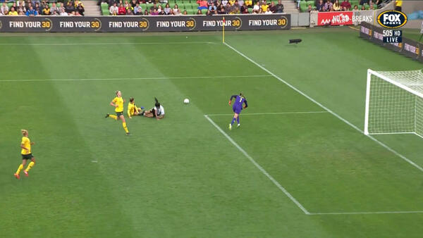 Steph Catley pulls off a wonder stop