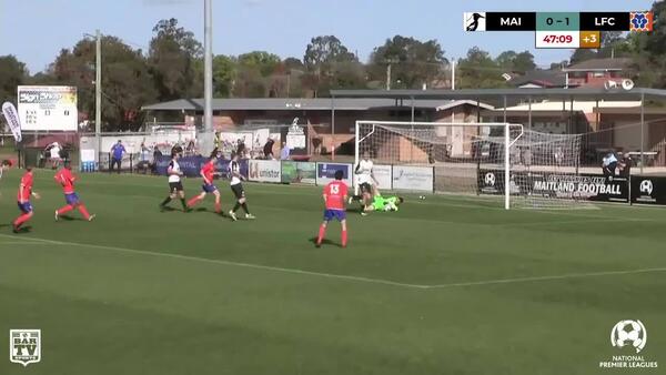 Maitland FC v Lions FC - NPL 2019 Semi Final Match Highlights