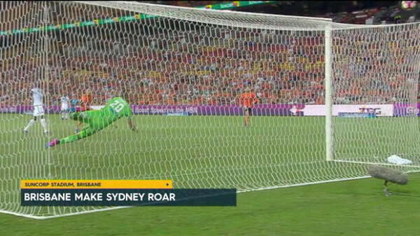 Roar edge Victory at Suncorp