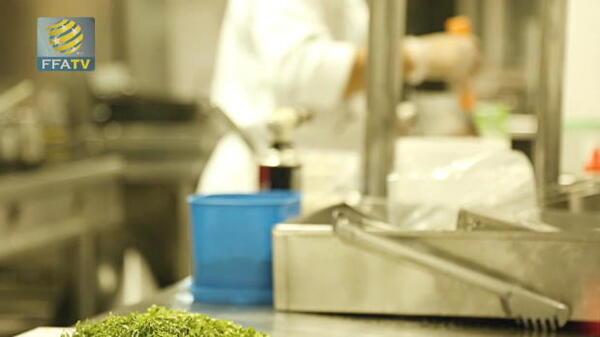 FFA TV | What's cooking in camp