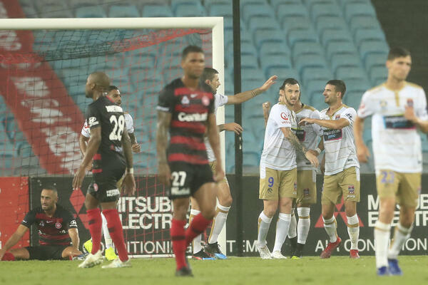 Newcastle celebrate a goal
